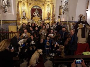 Misa de San Antón y bendición de animales. Capilla de la Divina Pastora de Santa Marina, Sevilla.